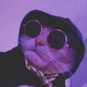 Meet your Posher, Marzavion